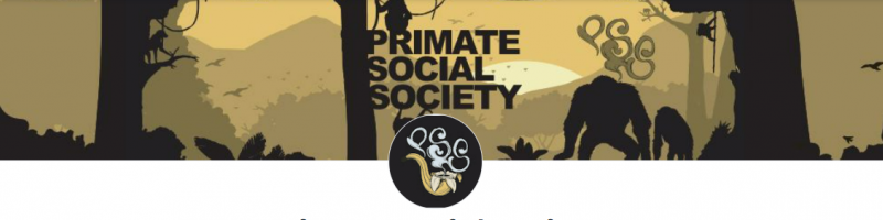 Primates Social Society